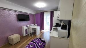Aly Apartaments Suceava 2