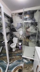 Aly Apartaments Suceava 2