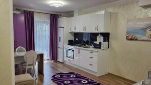 Aly Apartaments Suceava 2