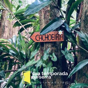 Il Bosco Incantato Uno