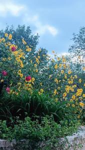 Apartments Relax Zone