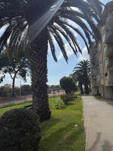 Hermoso Depto Alto del Mar