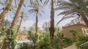 Nana Diafa - Zagora Guest House & Restaurant