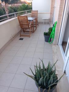 Denia, urbano junto al mar