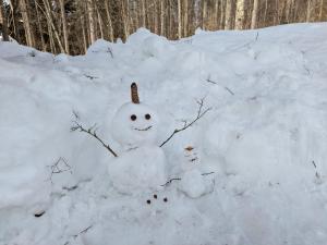 貸切別荘Madoyaのお宿 Loiseau bleu Iizuna