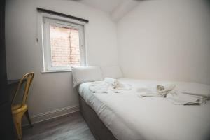 Modern Stranmillis 4 Bed