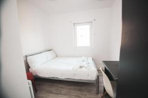 Modern Stranmillis 4 Bed