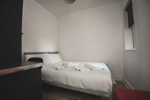 Modern Stranmillis 4 Bed