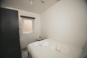 Modern Stranmillis 4 Bed