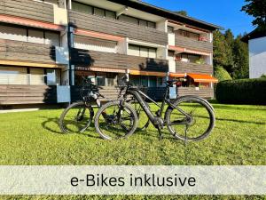 BERGFEX Ifenblick mit eBikes und Sommer-Bergbahnticket