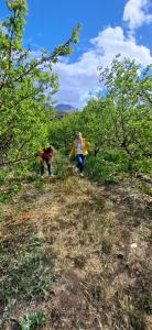 Scheepers Rust Guest Farmhouse