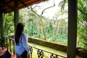 Misty Woods Homestay - Best homestay in Chikmagalur