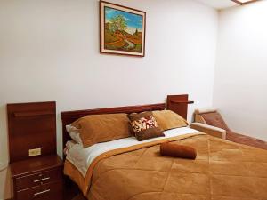 Comfort and Green Area for pets