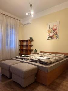 Damjanich Deluxe Apartman