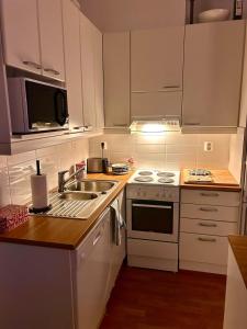 Nordic Penthouse in the city