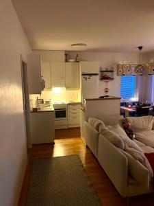 Nordic Penthouse in the city