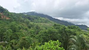 White House Holiday Inn