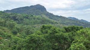 White House Holiday Inn