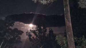 White House Holiday Inn