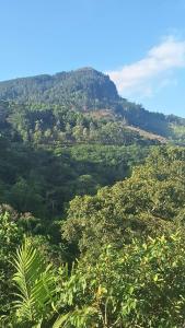 White House Holiday Inn