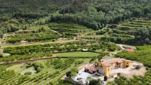 Quinta do Limite - Country House em Exclusividade