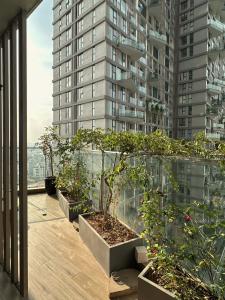 Japandi calm SolForestEcopark