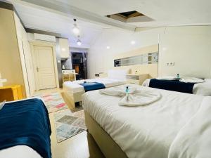 Taksim Premium Aparts