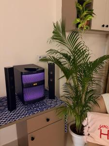 Couple Canvas- Luxurious 1-BHK Peaceful Apartment