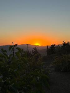 Apokas Country House