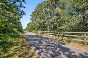 Bring your pups to Chatham Direct access to the Cape Cod Rail Trail
