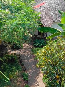 The Makuti breeze house