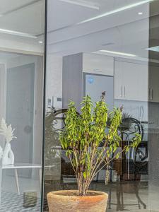 O Miramar Appartement Premium Calme avec Terrasse