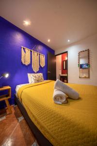 Departamentos Mi querido Coyoacán