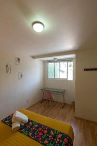 Departamentos Mi querido Coyoacán