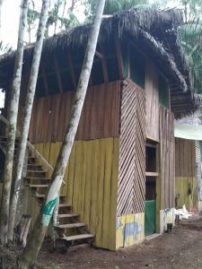 ECO HOSTAL El VIEJO BOSQUE TOUR AMAZON