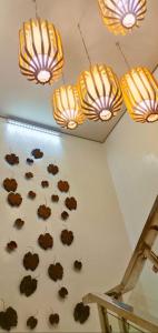 Watergate Boutique Hotel