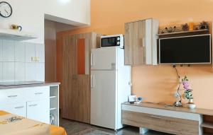 1 Bedroom Cozy Apartment In Maslenica 