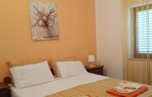 1 Bedroom Cozy Apartment In Maslenica