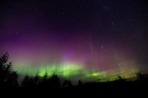 Cozy cottage near Þingvallavatn