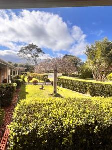 Bright & Quiet 1BR with Courtyard