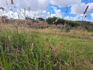 6 person holiday home in Struer-By Traum