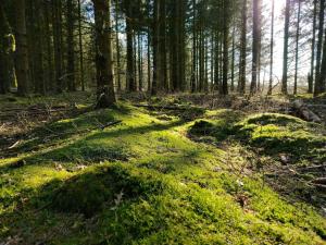 6 person holiday home in Give-By Traum