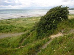 Seaside Retreat with Sauna - By Traum Ferienwohnungen