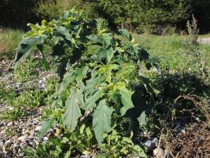 6 person holiday home in Skibby-By Traum