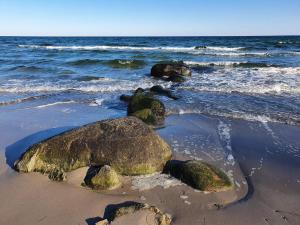 10-Person Home in Rødvig Stevns