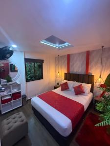 The Garden Lleras 10