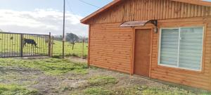 Cabaña Osorno en pleno campo