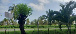 DLuchy Casa Finca Rural cerca al mar