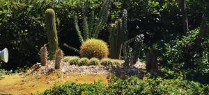 Entire chalet in Laguna Bay Ein El Sokhna