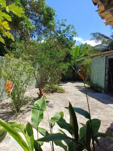 Casa Amarela Praia Porto de Sauípe